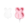 Bunny Ice Pop Silicone Molds AJEW-D039-06-3