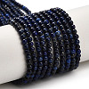 Dyed Natural Lapis Lazuli Beads Strands G-H317-A01-1