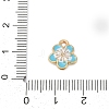 Alloy Enamel Pendants X-FIND-Z070-05G-02-3