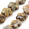 Natural Crazy Agate Beads Strands G-F769-M01-01-1
