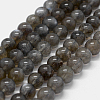 Natural Labradorite Beads Strands G-K285-03-8mm-1