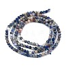 Natural Sodalite Beads Strands X-G-A097-A12-01-5