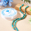 DIY Natural Regalite/Imperial Jasper/Sea Sediment Jasper Beads Bracelets  Making KIts DIY-TA0002-69A-6