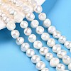 Natural Cultured Freshwater Pearl Beads Strands PEAR-N014-08E-01A-2