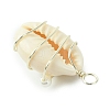 Natural Cowrie Shell Copper Wire Wrapped Pendants PALLOY-TA00196-02-5