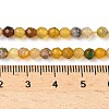 Natural Agate Beads Strands G-H302-A01-14-3