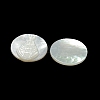 Carved Natural White Shell Cabochons SSHEL-N038-06B-03-2