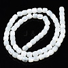 Natural Trochid Shell/Trochus Shell Beads Strands X-SSHEL-N034-121-B01-2