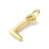 Rack Plating Brass Charms KK-P245-06G-L-2