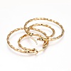 304 Stainless Steel Hoop Earrings EJEW-F188-17G-2