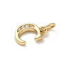 Brass Micro Pave Cubic Zirconia Charms LS-KK-I382-03G-C-2