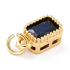 Real 18K Gold Plated Brass Inlaid Cubic Zirconia Charms ZIRC-L100-075G-05-3