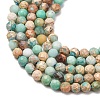 Natural Imperial Jasper Beads Strands G-L578-A13-4