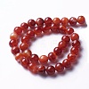 Natural Red Agate Beads Strands X-G-P434-09C-A-1