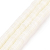 Natural Trochid Shell/Trochus Shell Beads Strands X-SSHEL-L016-13E-1