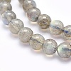 Natural Labradorite Beads Strands LS-G-O166-08-6mm-3
