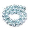 Electroplated Shell Pearl Beads Strands BSHE-G041-12mm-03-2