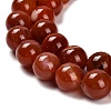 Dyed Natural Agate Beads Strands G-G203-10L-12mm-4