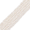 Electroplated Shell Pearl Beads Strands BSHE-C006-05B-1