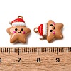 Christmas Themes Baking Paint Alloy Pendants LS-FIND-G097-02E-3