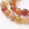 Natural Carnelian Beads Strands G-G735-64-10mm-3