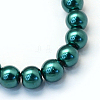 Baking Painted Pearlized Glass Pearl Round Bead Strands HY-Q003-10mm-79-2