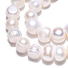 Natural Cultured Freshwater Pearl Beads Strands X-PEAR-N013-08G-01-5