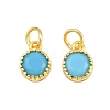 Brass Pave Cubic Zirconia Charms CU-CBA3D67-02G-4