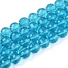 Transparent Glass Bead Strands GLAA-R095-10mm-23-1