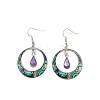 Bohemian Style Zinc Alloy Plastic Dangle Earrings FS-WG6C237-01-5