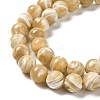 Natural Trochus Shell Beads Strands SHEL-K006-18D-3