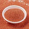 MIYUKI Round Rocailles Beads SEED-G009-RR0424-2