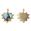 Synthetic Abalone Shell/Paua Shell Charms X-KK-N233-216-1