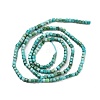 Natural HuBei Turquoise Beads Strands G-H042-B34-01-3