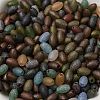 Transparent Colours Glass Seed Beads X-SEED-F006-03A-03-3