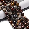 Natural Mexico Crazy Agate Beads Strands G-L615-A01-04-1