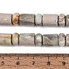 Natural Variscite Beads Strands G-Q616-09J-5