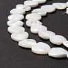 Natural Trochid Shell/Trochus Shell Beads SSHEL-O001-27D-3