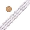 Frosted Natural Howlite Bead Strands G-PH0028-8mm-01-3