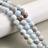 Natural Striped Stone Beads Strands G-D315-A01-01-10mm-1