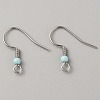 304 Stainless Steel Earring Hooks STAS-WH0027-64P-07-1