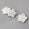 Sea Shell Pendants SSHEL-Q296-15-1