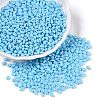 Baking Paint Glass Seed Beads SEED-T006-03I-3