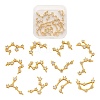 12Pcs 12 Style Brass Micro Clear Cubic Zirconia Pendants ZIRC-LS0001-02G-1