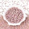 6/0 Glass Seed Beads SEED-N008-07I-2