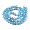 Opaque Frosted Glass Beads Strands EGLA-N006-076B-2