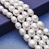 Natural Cultured Freshwater Pearl Graduated Beads Strands PEAR-P060-05A-01-1