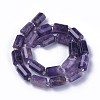 Natural Amethyst Beads Strands G-F595-J03-2