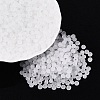 FGB Frosted Transparent Glass Seed Beads SEED-N013-04A-01-1