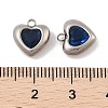 304 Stainless Steel Micro Pave Cubic Zirconia Charms STAS-S131-17P-02-3